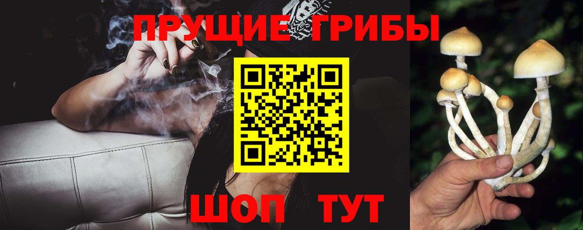 Псилоцибиновые грибы Psilocybine cubensis  Вход с VPN  Заринск 